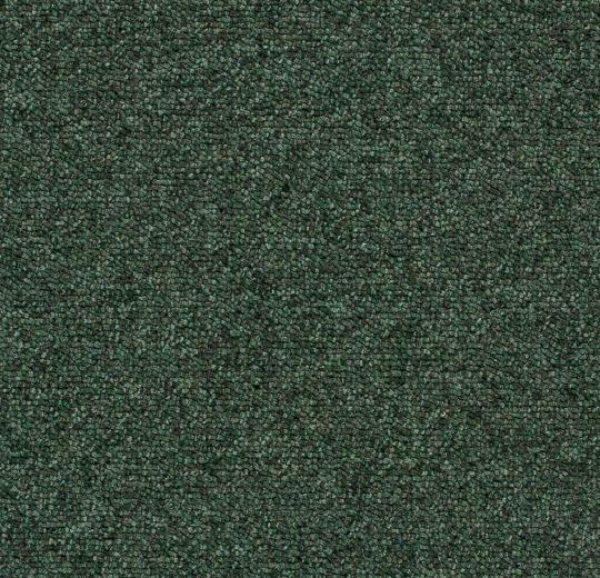 Foliage