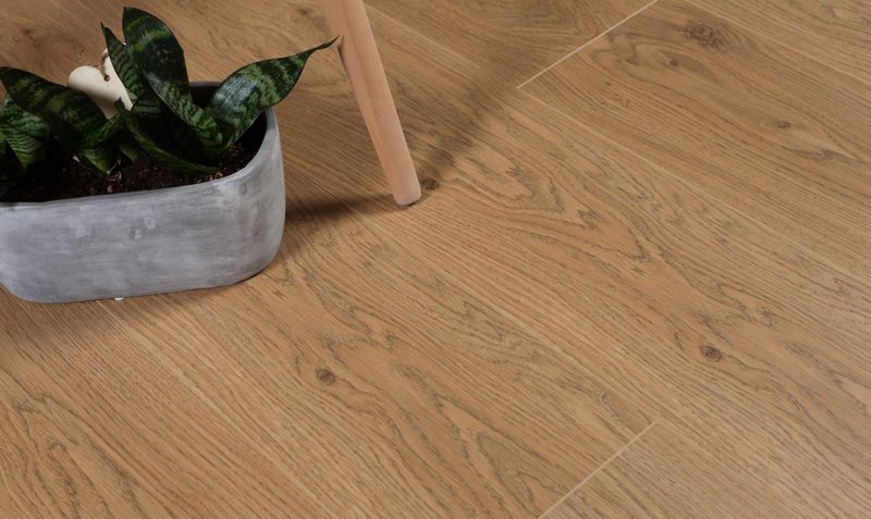 Lotus Oak
