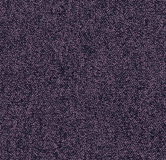 Violetta