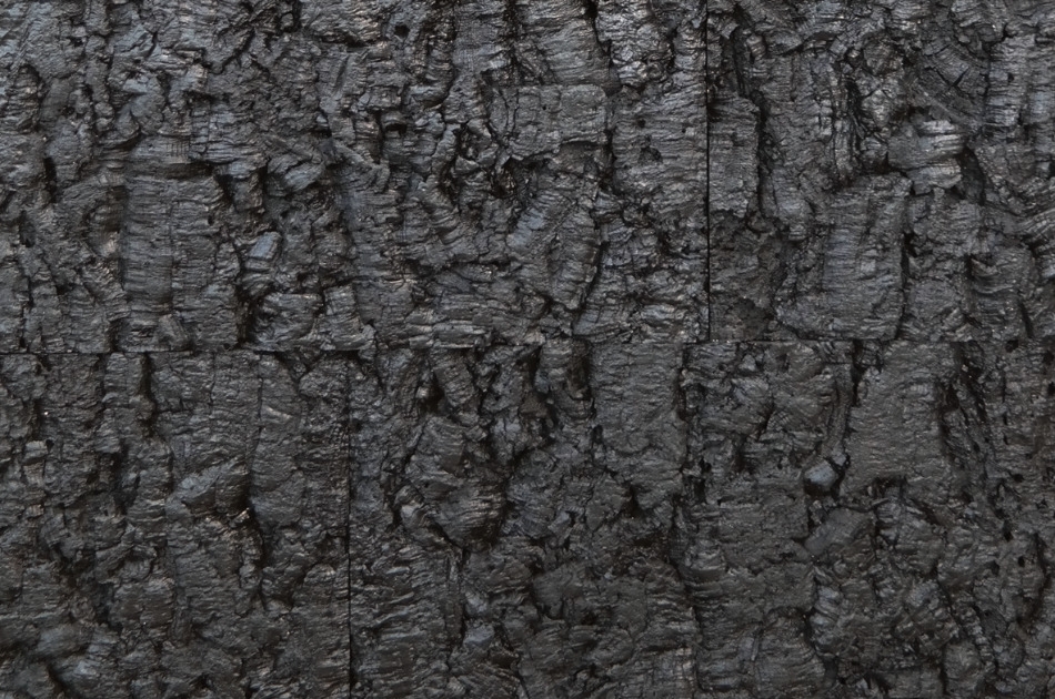 Bark Black