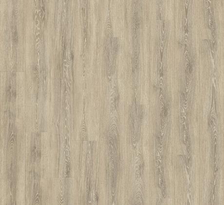 Toulon Oak 619L