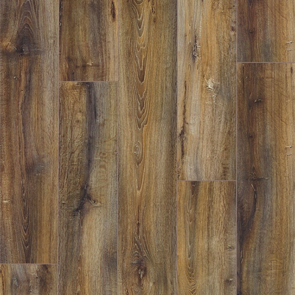 Bahamas Oak